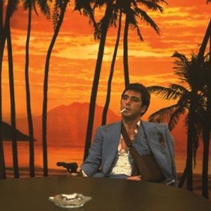 Meet your Posher, Donovan